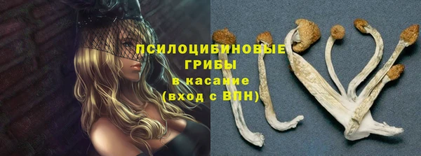 не бодяженный Беломорск